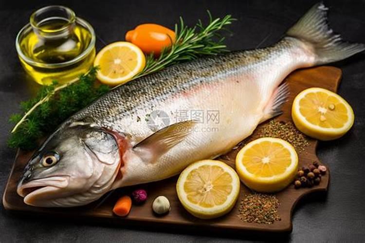 鱼蛋白自制配方