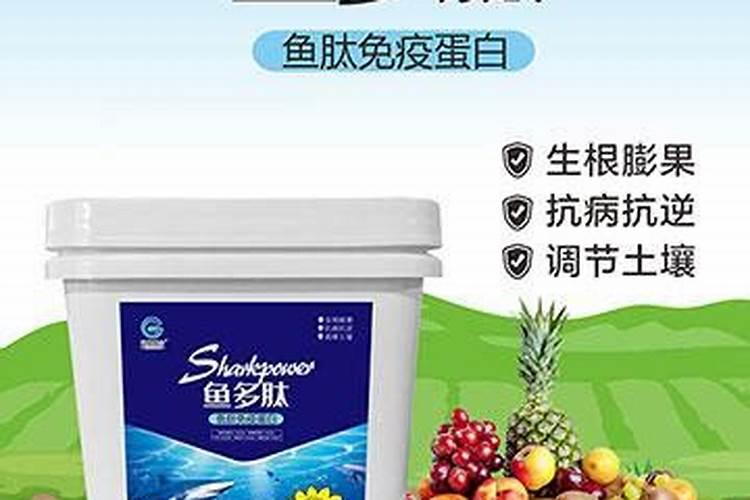 李子怎样管理才能又大又甜(李子增大增甜度用什么方法)