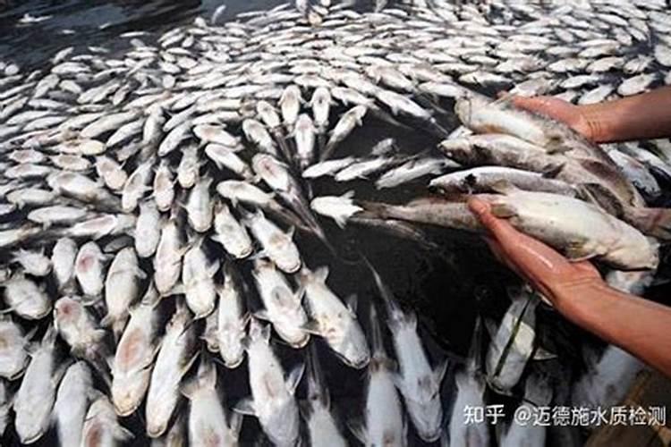 氮肥类化肥有哪些呢？