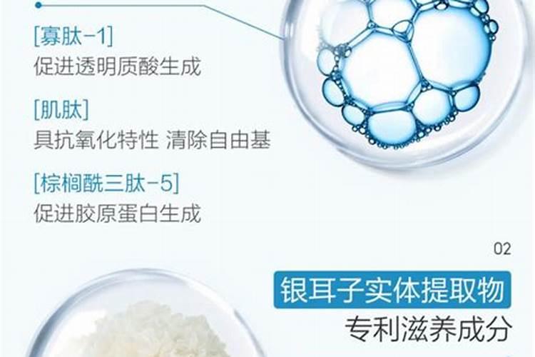 鱼有什么营养价值