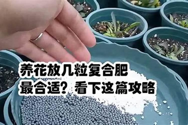 种植土豆一亩地需要多少有机肥