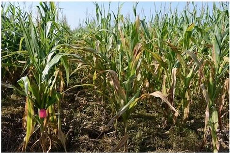 活性炭的三个害处