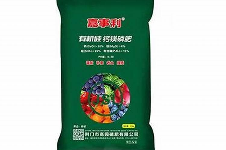 柑橘缺锰症有哪些发病症状？