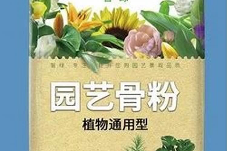 养花如何使用骨粉