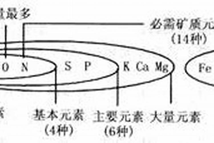 家庭怎样种植莲藕？