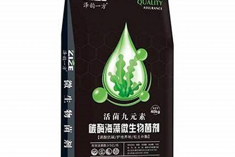 幸福树施什么肥最好 幸福树怎么施肥