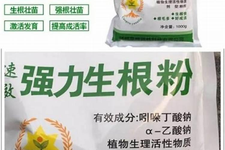东北制药集团股份有限公司环保工作