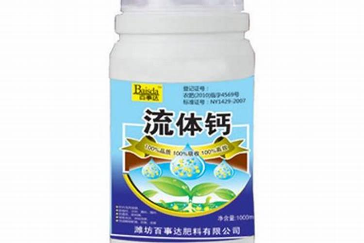 大花蕙兰浇水方法 大花蕙兰如何浇水