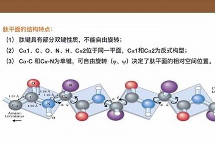 青岛方正科技复合肥料怎么样