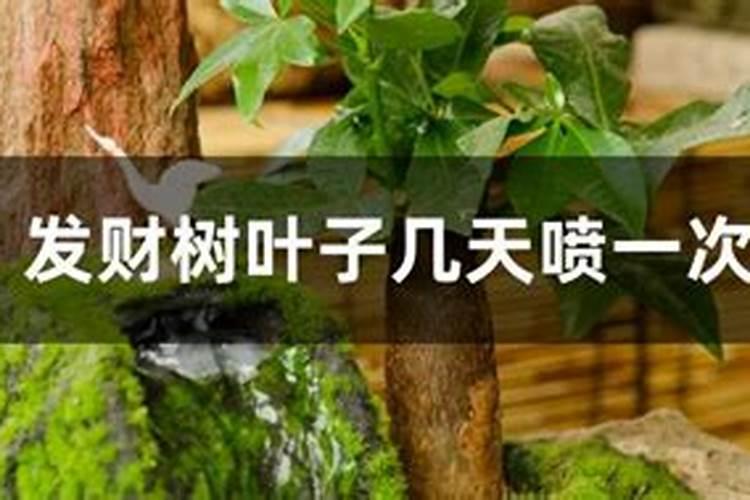 高钾大量元素水溶肥哪个牌子的比较好,