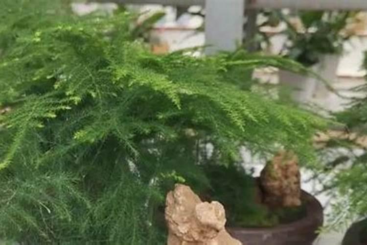 优时颜悦能角质调理精萃液适合哪些肤质的人使用？