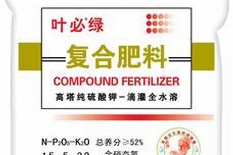 桃花怎么养才开得好