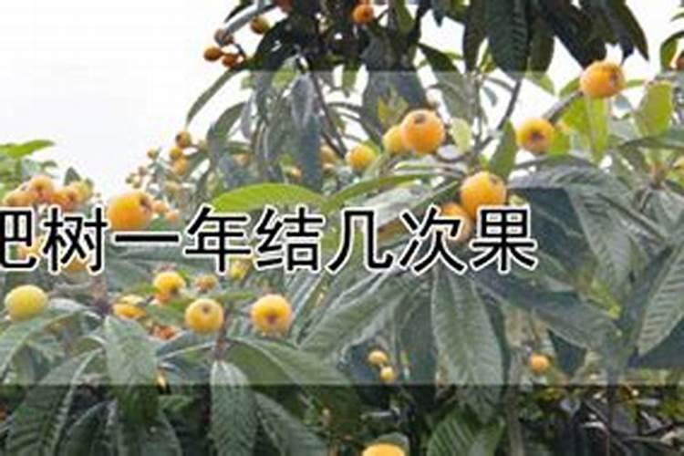 如何辨别水溶肥的好坏