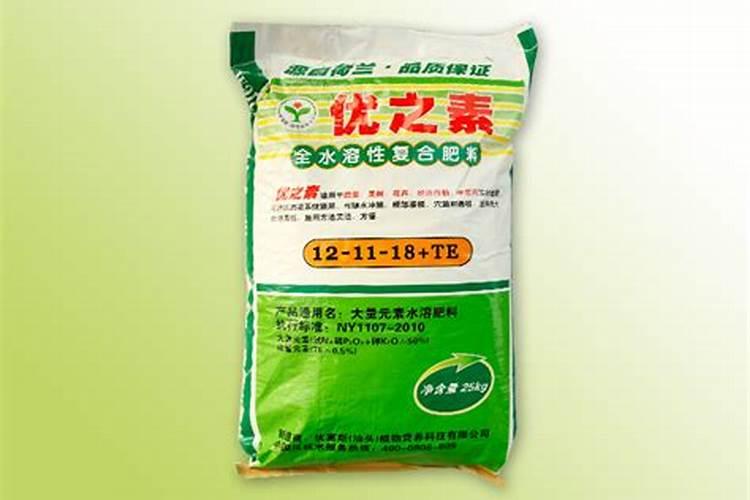 水稻秧苗多少度会冻死,水稻秧苗发黄是什么原因
