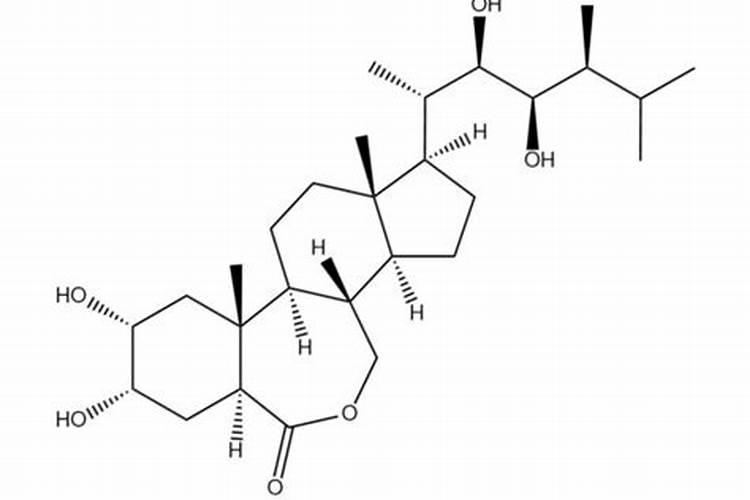 芸苔素对植物生长有什么作用？
