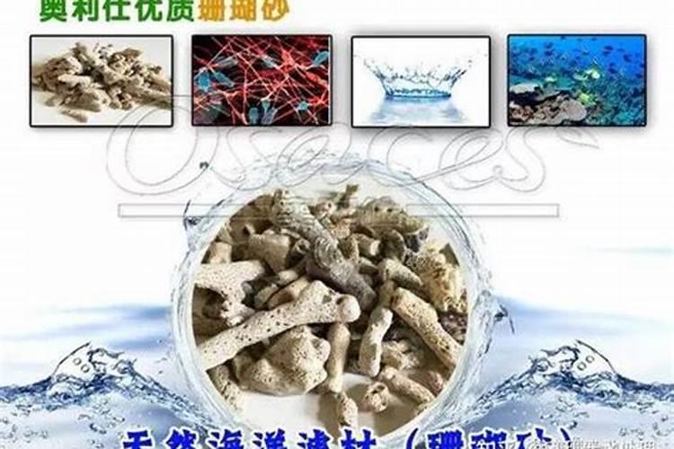 果树施什么肥料最好