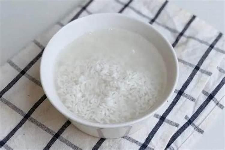 韭菜不用买,阳台种1盆,随吃随割,绿色又健康!