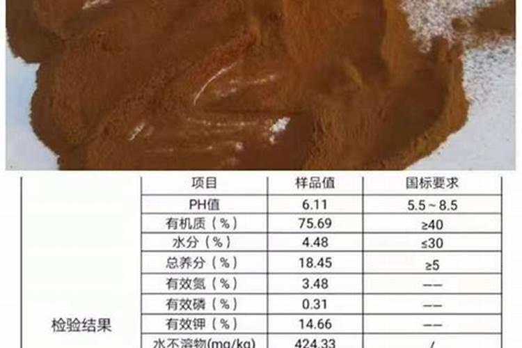 云南促早阳光玫瑰最好适合的生根肥是哪种？