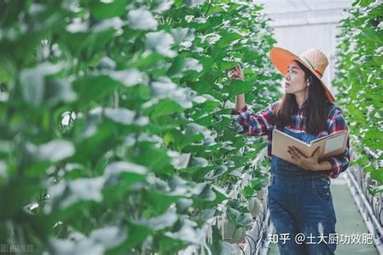 怎样销售水溶肥
