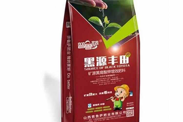 丝瓜移栽几天能成活丝瓜移栽几天可以活