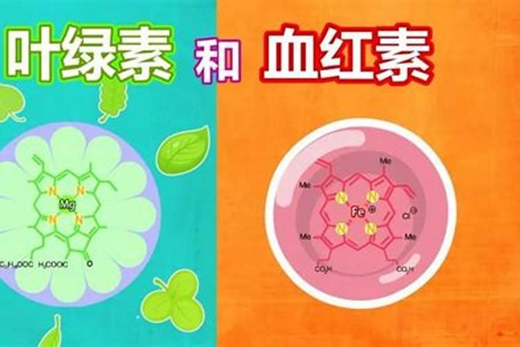 辣椒种植叶面肥很关键,辣椒种植叶面肥该怎么施肥？