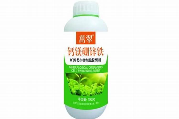 枇杷树谢花一个月后可以喷施磷酸二氢钾,鱼蛋白,云苔素,钙镁硼锌铁吗
