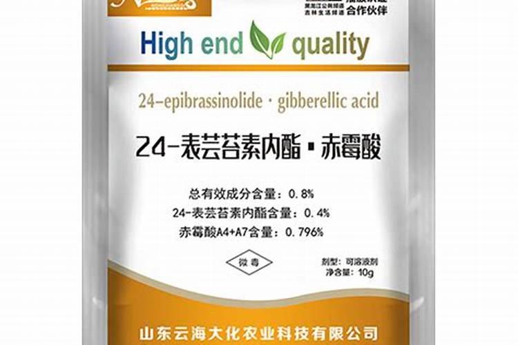 桉树用什么肥料最合适