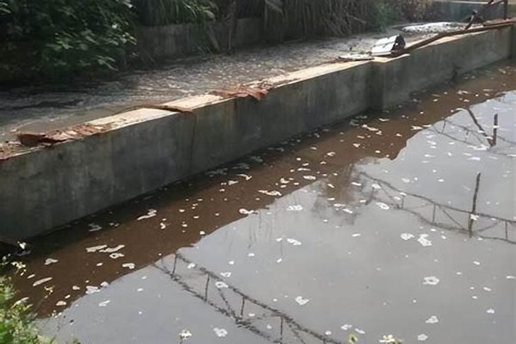 种植西瓜用什么肥料