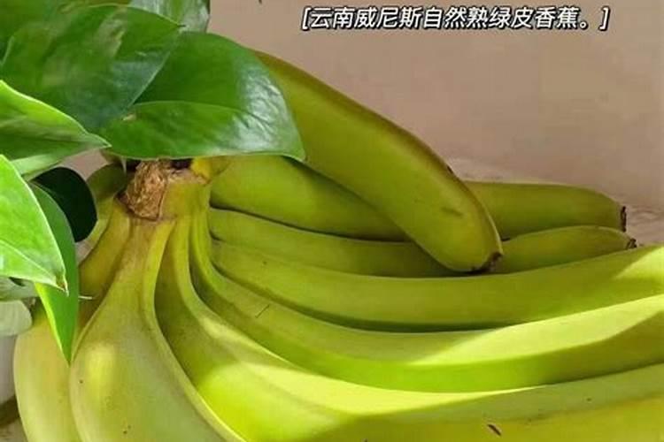 香蕉科学施肥方法,什么时候适合施肥