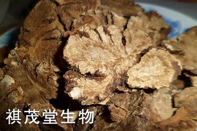 潍坊市信得生物科技有限公司是做什么的？