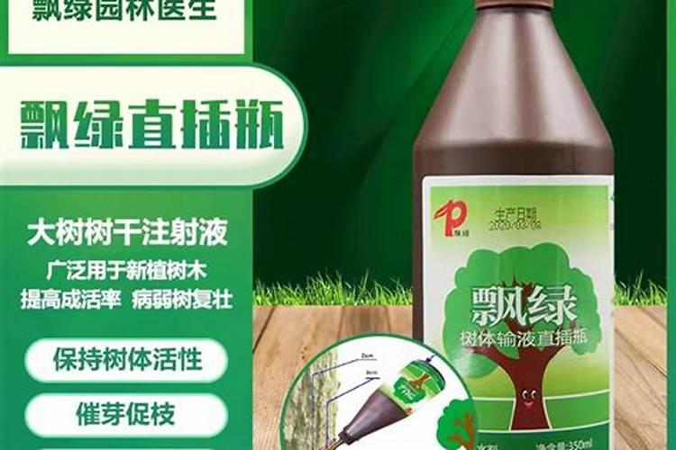 黄金花月移栽后浇甲霜恶灵好吗