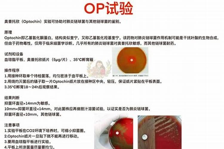 奥普多肉怎么养殖变多头