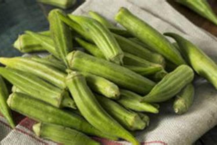 秋葵在什么时候施肥 秋葵移植后施什么肥好