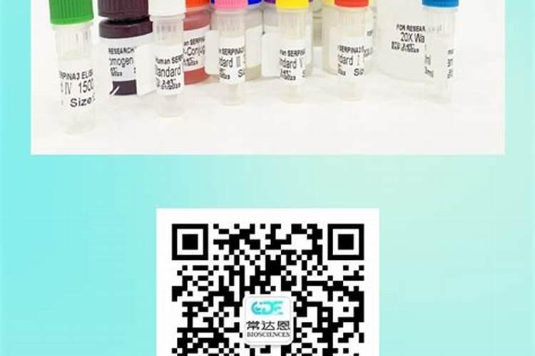 甜糯玉米鲜食甜糯玉米速冻加工技术