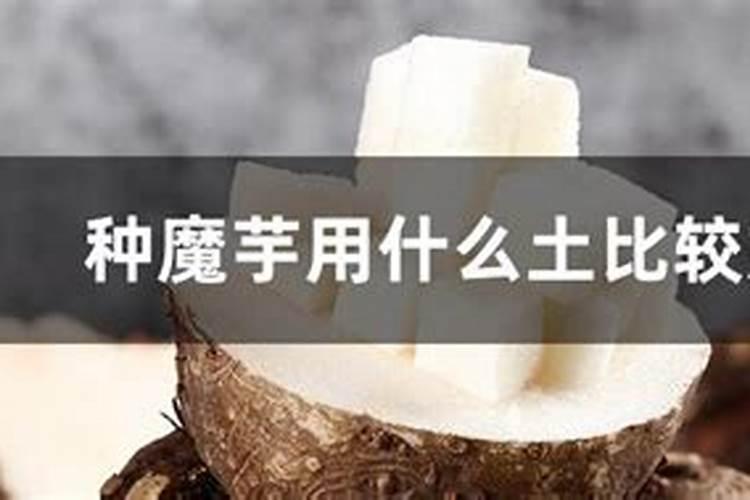 小麦拔节期用什么肥料好