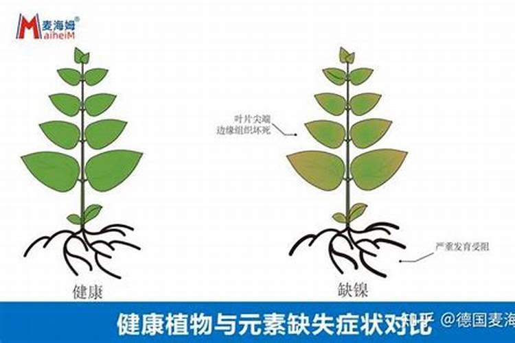 氢痒化钾的原理是什么？