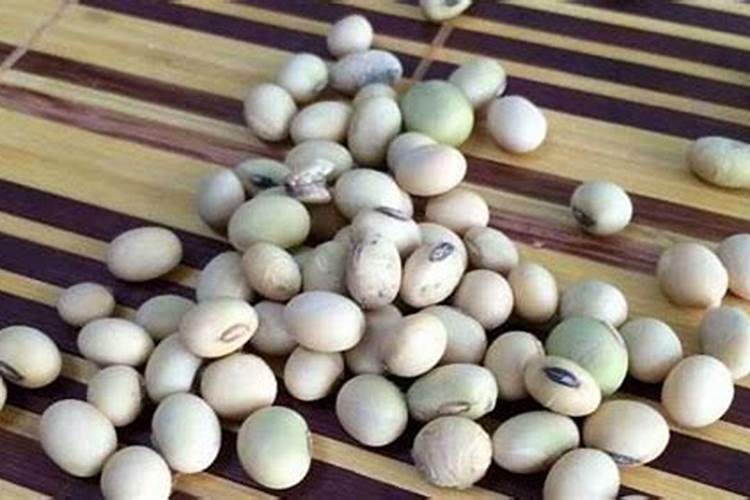 种植农作物的时候使用腐熟的黄豆粉做肥料,有什么好处？