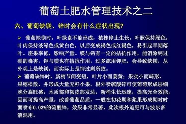 芸苔素对小麦起什么作用