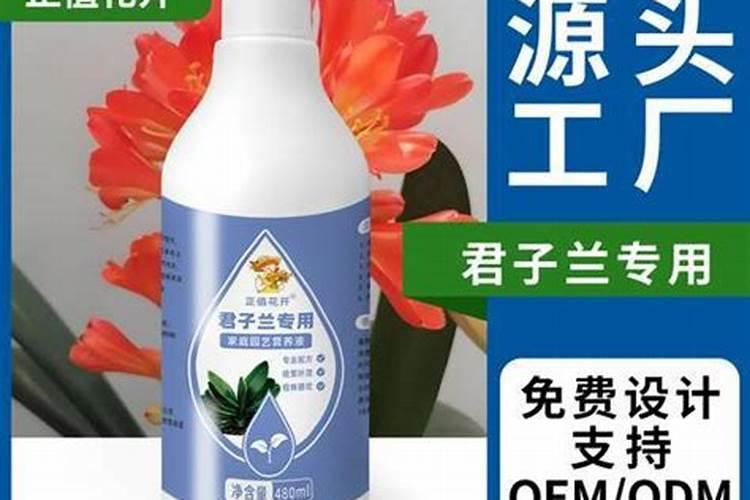 草莓苗长几年可以结果怎么浇水施肥