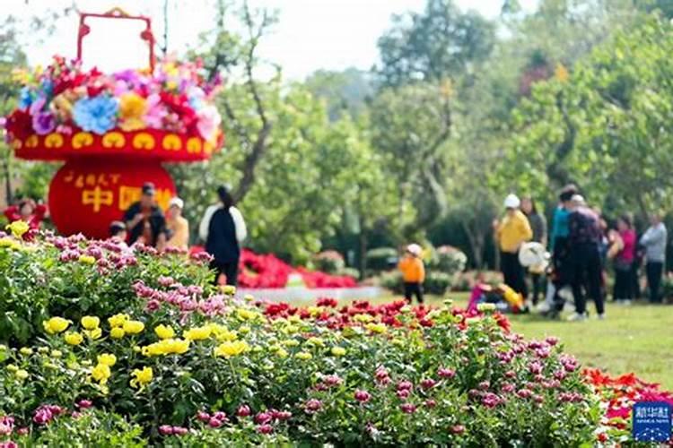 肥料级氯化钾怎么辨别真假