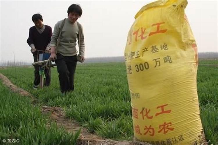打农药造成药害怎么赔偿农户