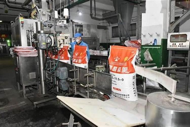 板栗膨果打什么叶面肥好