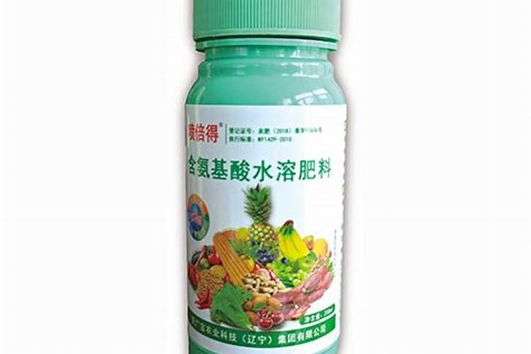 富含油脂的食物有哪些