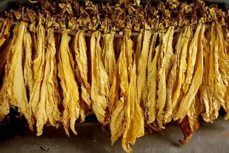 烟草施硫酸钾最佳时间 使用方法有哪些