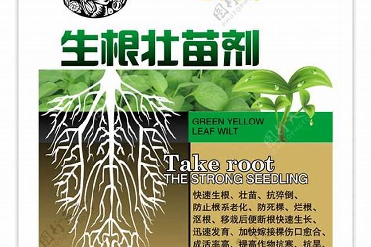空气中各种气体的比例