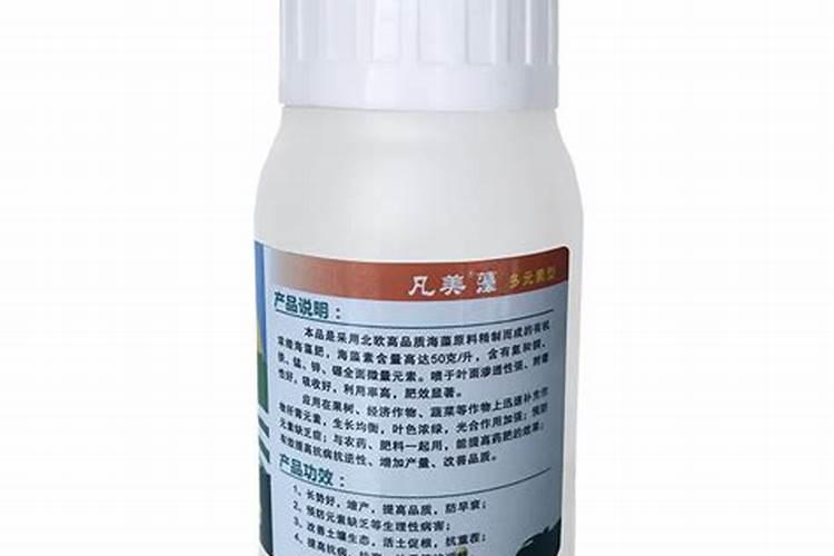 巴西龟的饲养注意事项