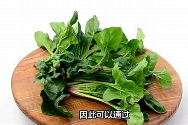甘蔗育苗多久浇一次水