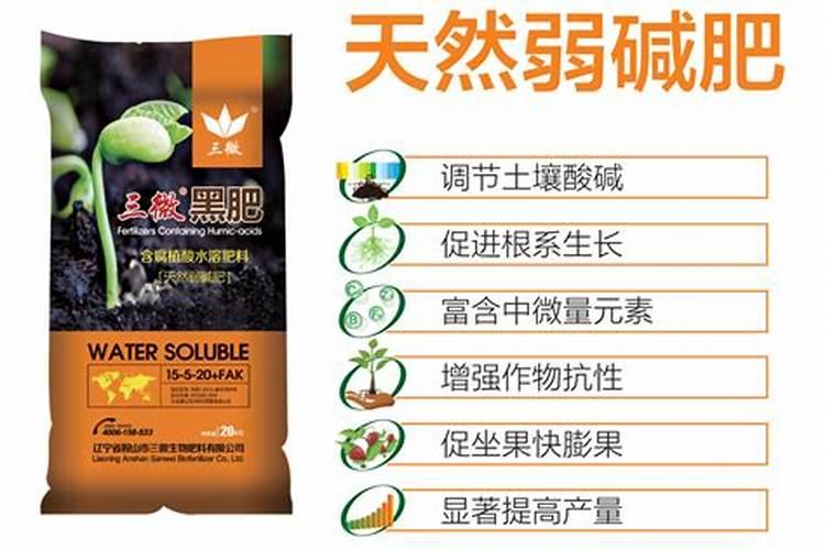 夏天栽种大树的注意事项,夏天栽树要注意事项