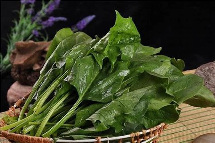 种青菜如何正确施肥 正确做法
