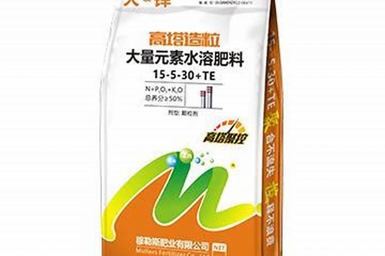 FeSO4与N2能反应吗？
